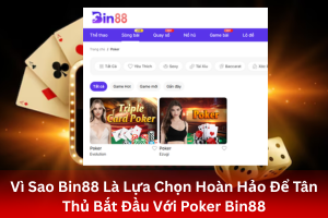 ảnh đại diện Vì Sao Bin88 Là Lựa Chọn Hoàn Hảo Để Tân Thủ Bắt Đầu Với Poker Bin88